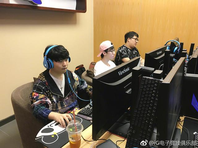 在三角草与